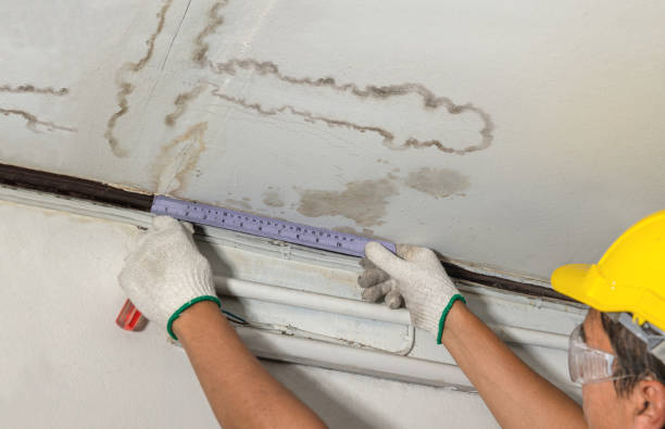 Reliable Mold Remediation contractor in Mount Blanchard, OH by Water Damage Irwin
